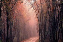 八一男篮客场战胜四川队