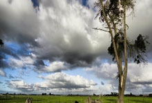 八一男篮客场战胜四川队
