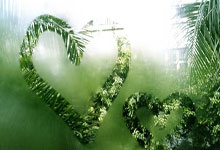 柏林赫塔队争取在客场击败斯图加特