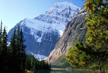 柏林赫塔队争取在客场击败斯图加特