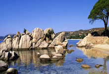 柏林赫塔队争取在客场击败斯图加特