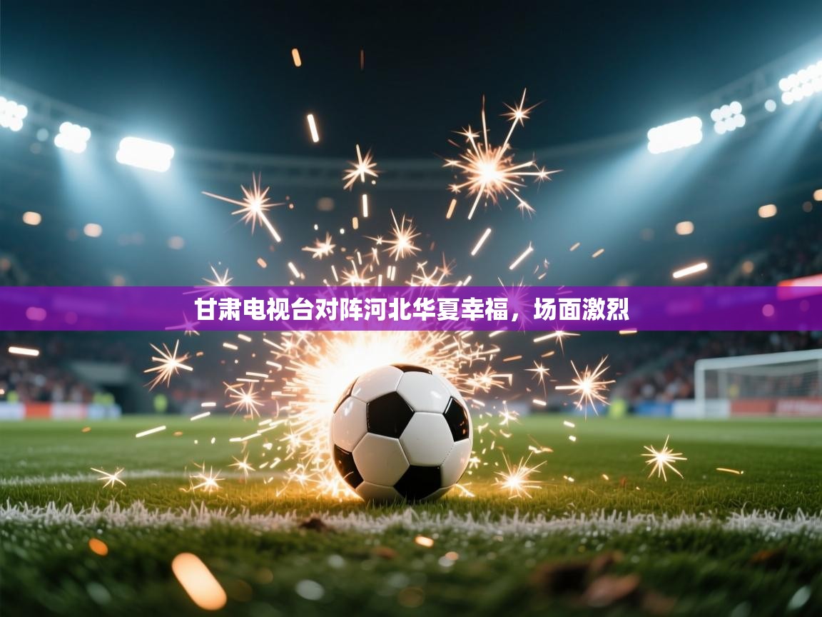 甘肃电视台对阵河北华夏幸福，场面激烈  第2张