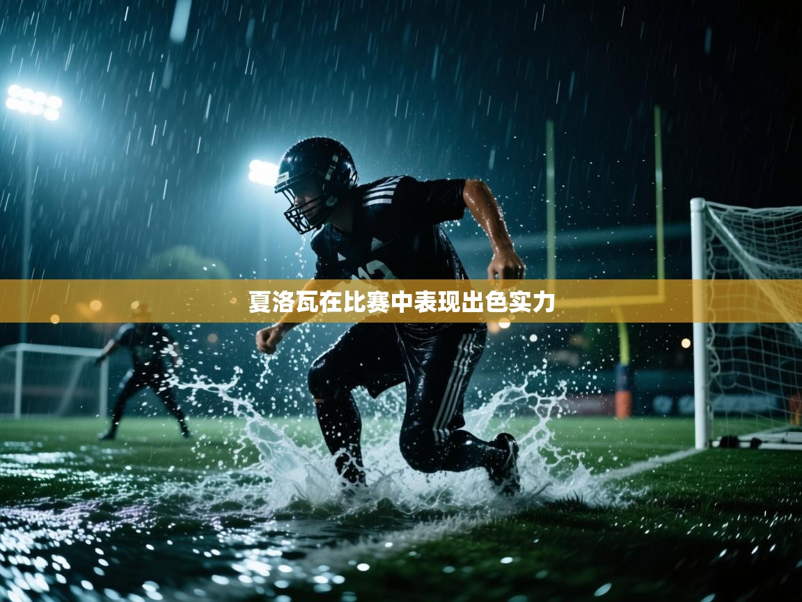 夏洛瓦在比赛中表现出色实力  第1张