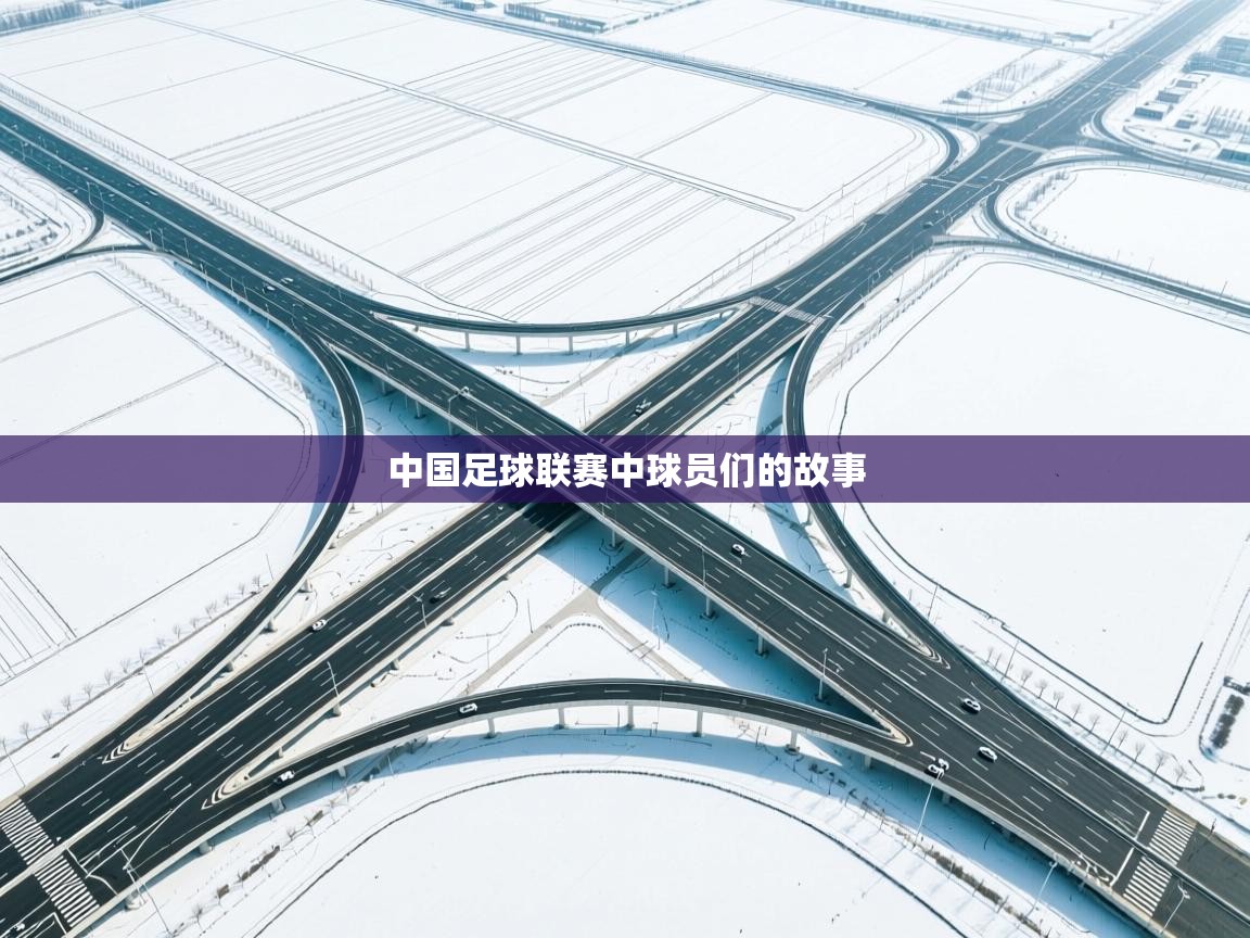 中国足球联赛中球员们的故事